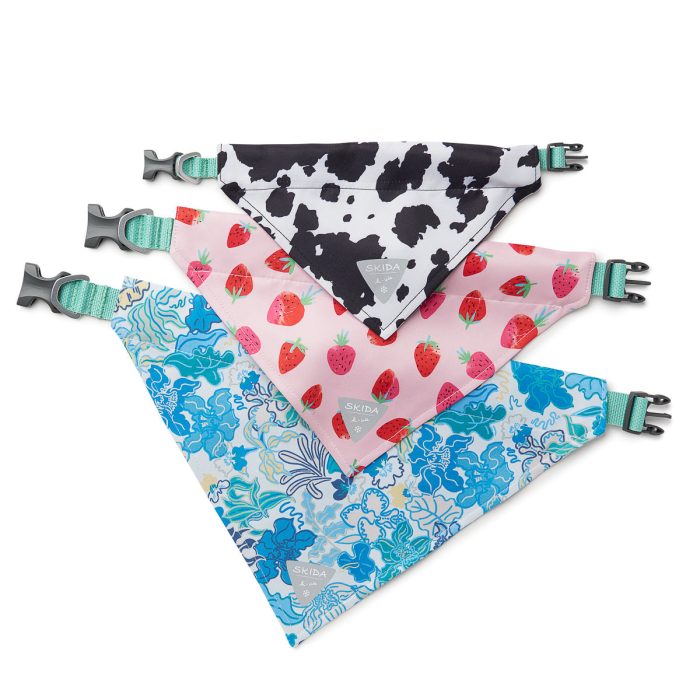 DogBandana Group 2 61fea34a f78c 41a7 a870 831d5c308693 4