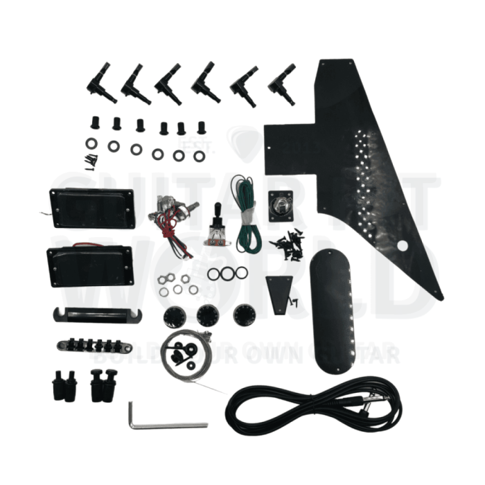 zebrawood exp guitar kit with black pickguard 309364